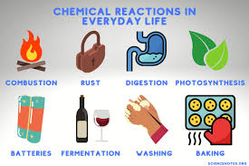 Chemical reactions in daily life