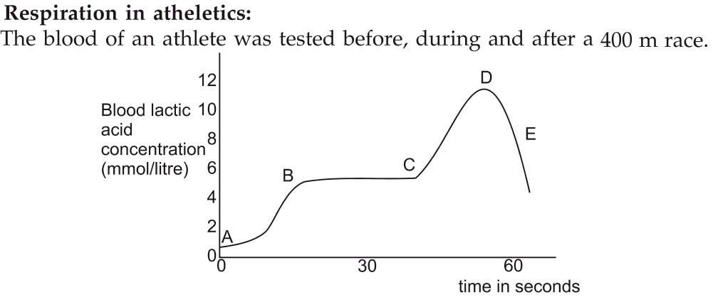 Graph showing blood lactic acid concentration of an athlete during a race.